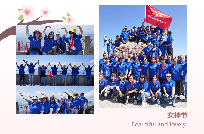 洛阳米兰体育防火玻璃.png 洛阳米兰体育防火玻璃.png